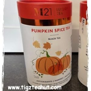 Pumpkin Spice Pyramid Tea Bags | Black Tea