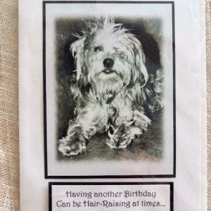 Birthday Card | For the Love of Critters "Scruffy"