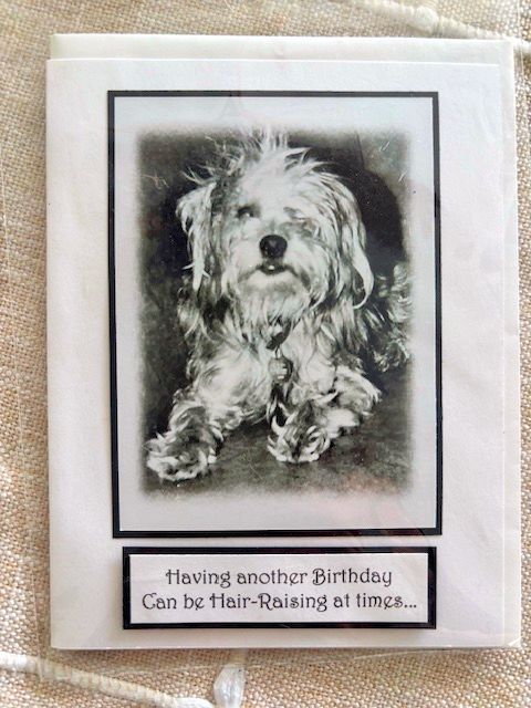 Birthday Card | For the Love of Critters "Scruffy"